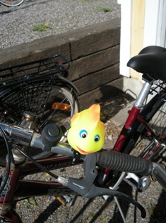 Vi fick var sin fin cykeltuta. Jag valde en fisk